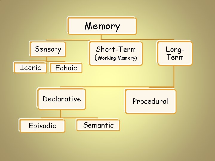 Memory Sensory Iconic Short-Term (Working Memory) Long. Term Echoic Declarative Episodic Procedural Semantic 