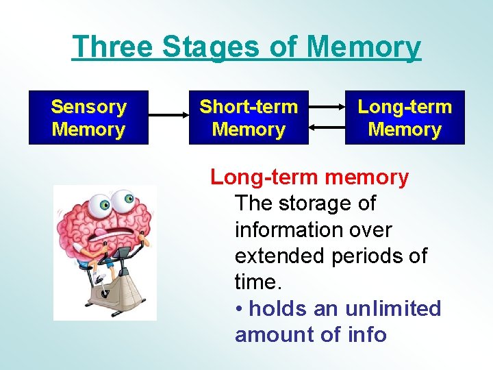 Three Stages of Memory Sensory Memory Short-term Memory Long-term memory The storage of information