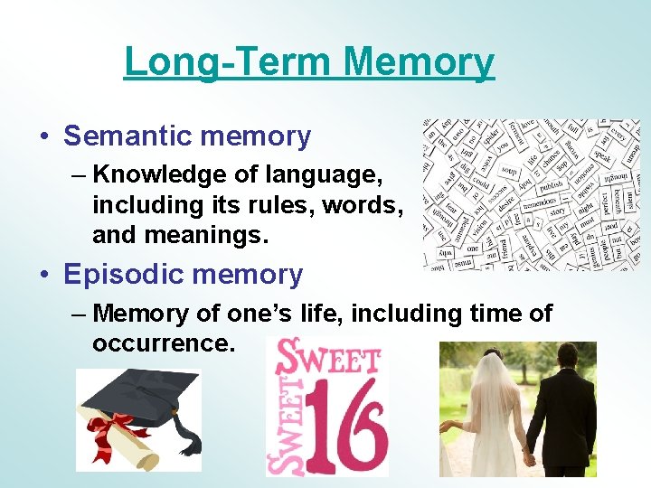 Long-Term Memory • Semantic memory – Knowledge of language, including its rules, words, and