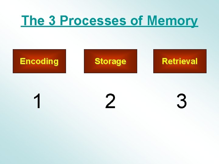 The 3 Processes of Memory Encoding Storage Retrieval 1 2 3 