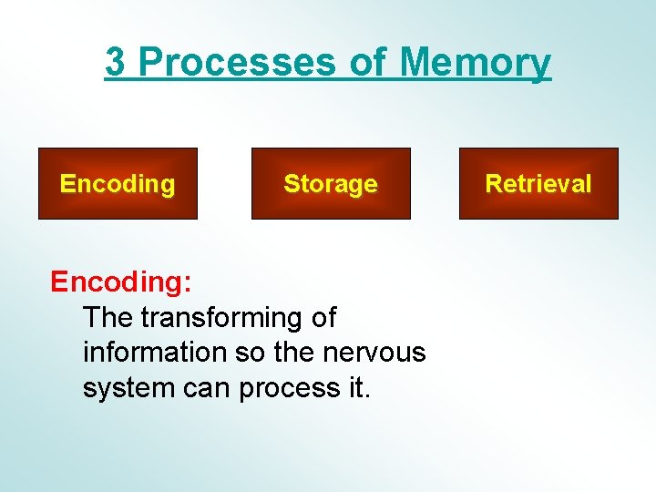 3 Processes of Memory Encoding Storage Encoding: The transforming of information so the nervous