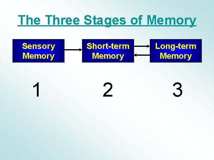 The Three Stages of Memory Sensory Memory Short-term Memory Long-term Memory 1 2 3