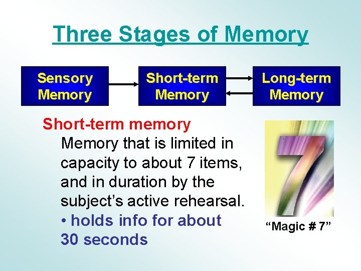 Three Stages of Memory Sensory Memory Short-term memory Memory that is limited in capacity