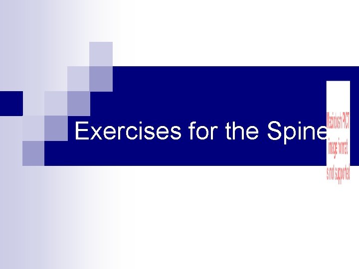 Exercises for the Spine 