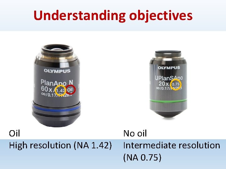 Understanding objectives Oil High resolution (NA 1. 42) No oil Intermediate resolution (NA 0.