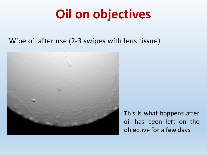 Oil on objectives Wipe oil after use (2 -3 swipes with lens tissue) This