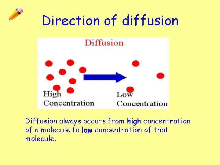 Direction of diffusion Diffusion always occurs from high concentration of a molecule to low