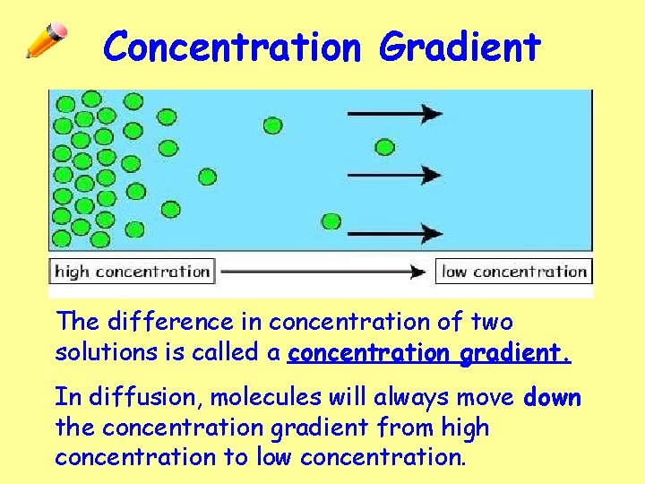 Concentration Gradient The difference in concentration of two solutions is called a concentration gradient.