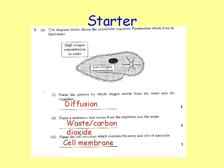 Starter Diffusion Waste/carbon dioxide Cell membrane 