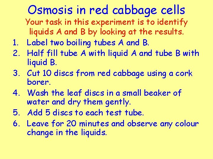 Osmosis in red cabbage cells 1. 2. 3. 4. 5. 6. Your task in