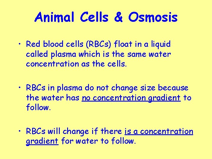 Animal Cells & Osmosis • Red blood cells (RBCs) float in a liquid called