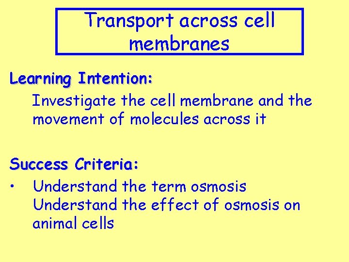 Transport across cell membranes Learning Intention: Investigate the cell membrane and the movement of