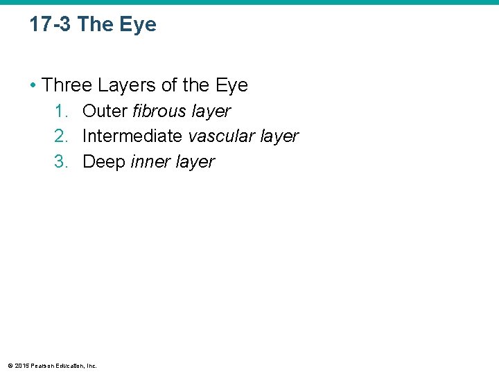 17 -3 The Eye • Three Layers of the Eye 1. Outer fibrous layer 17 -3 The Eye • Three Layers of the Eye 1. Outer fibrous layer