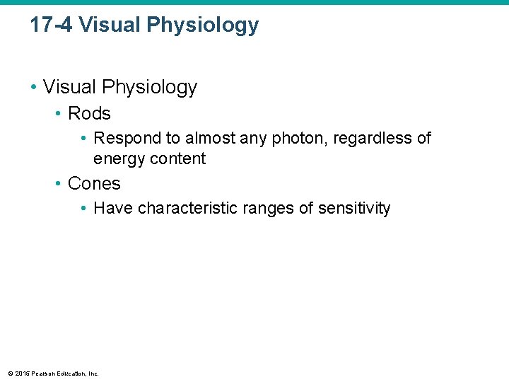17 -4 Visual Physiology • Rods • Respond to almost any photon, regardless of 17 -4 Visual Physiology • Rods • Respond to almost any photon, regardless of