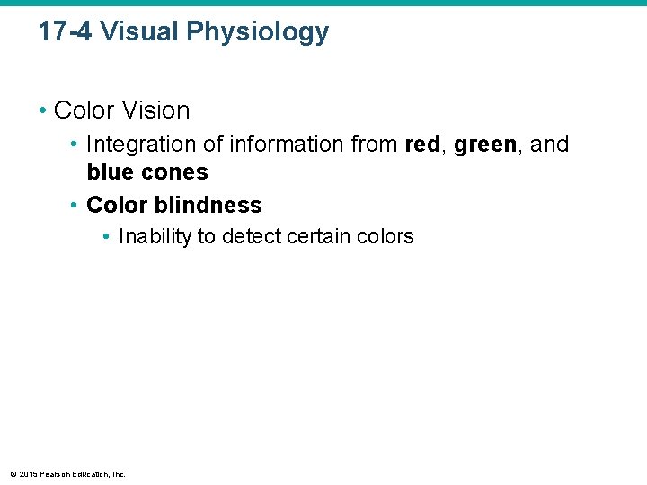 17 -4 Visual Physiology • Color Vision • Integration of information from red, green, 17 -4 Visual Physiology • Color Vision • Integration of information from red, green,
