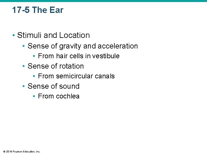 17 -5 The Ear • Stimuli and Location • Sense of gravity and acceleration 17 -5 The Ear • Stimuli and Location • Sense of gravity and acceleration