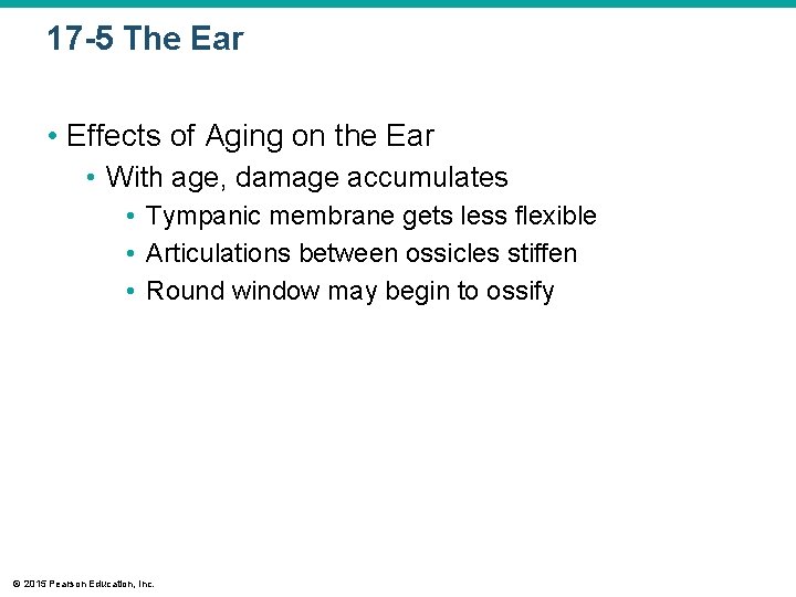 17 -5 The Ear • Effects of Aging on the Ear • With age, 17 -5 The Ear • Effects of Aging on the Ear • With age,
