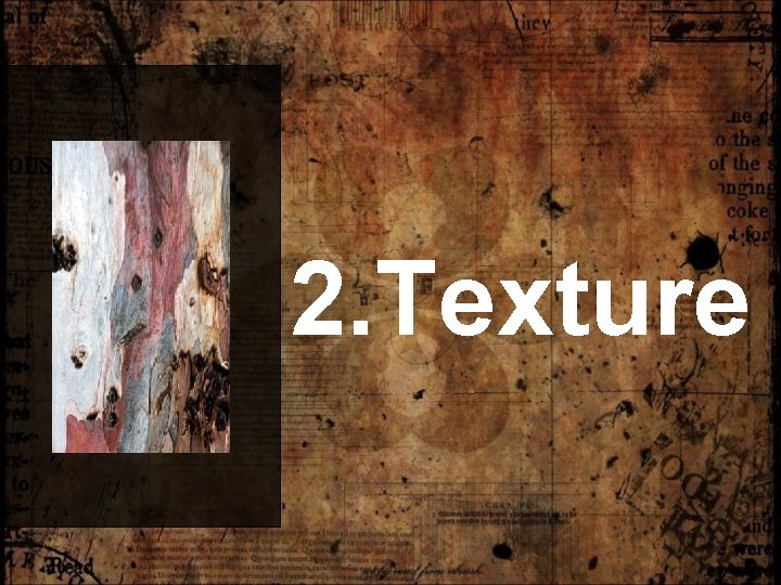 2. Texture 