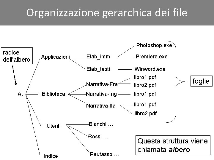 Organizzazione gerarchica dei file Photoshop. exe radice dell’albero A: Applicazioni Biblioteca Elab_imm Premiere. exe