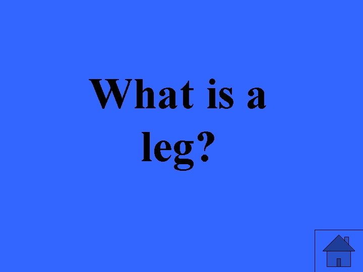 What is a leg? 