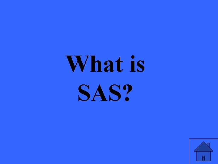 What is SAS? 