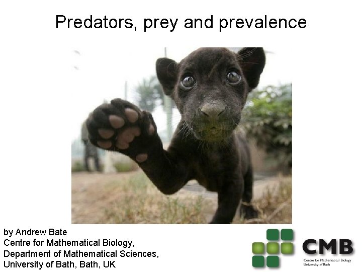 Predators, prey and prevalence by Andrew Bate Centre for Mathematical Biology, Department of Mathematical