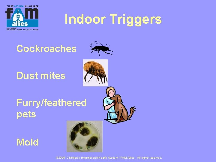 Indoor Triggers Cockroaches Dust mites Furry/feathered pets Mold © 2004 Children’s Hospital and Health