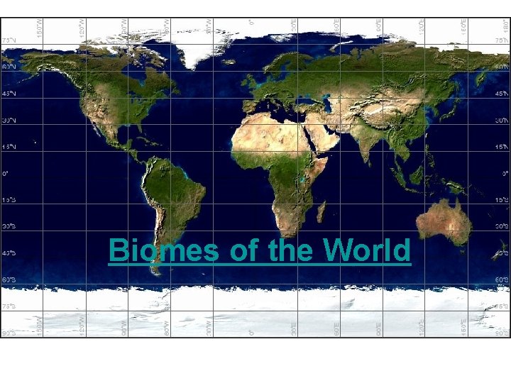 Biomes of the World 