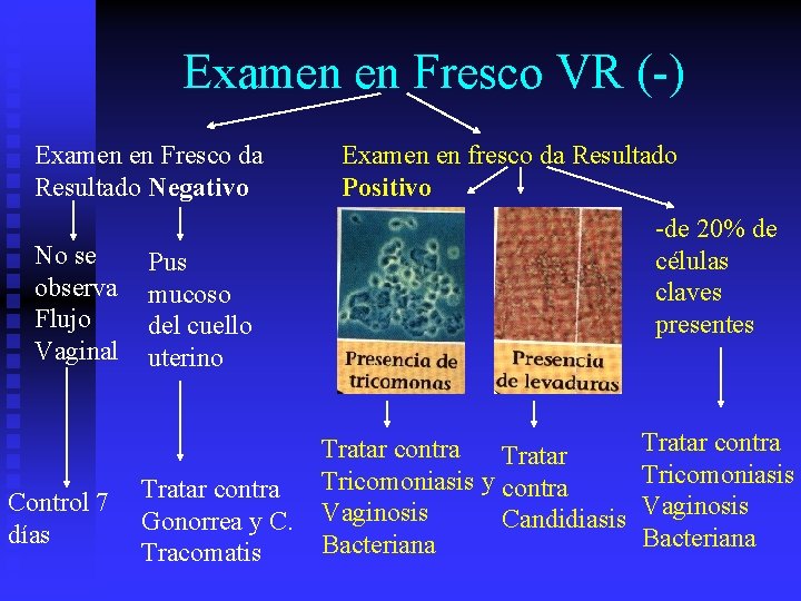 Examen en Fresco VR (-) Examen en Fresco da Resultado Negativo No se observa