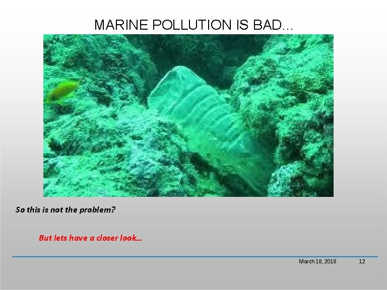 MARINE POLLUTION IS BAD… So this is not the problem? But lets have a