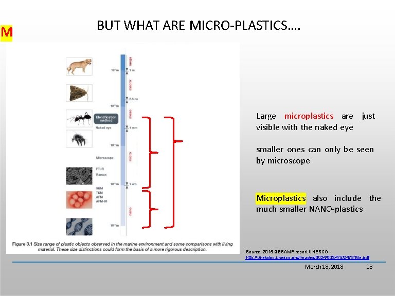 M BUT WHAT ARE MICRO-PLASTICS…. Large microplastics are just visible with the naked eye