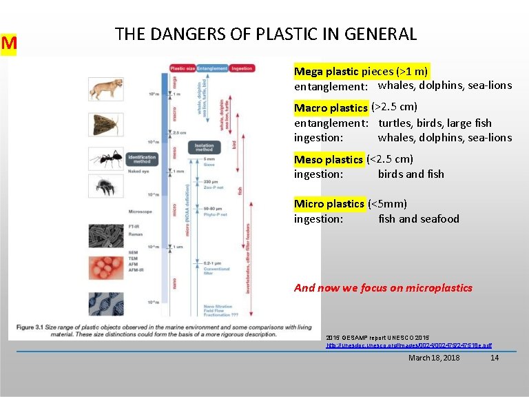 M THE DANGERS OF PLASTIC IN GENERAL Mega plastic pieces (>1 m) entanglement: whales,