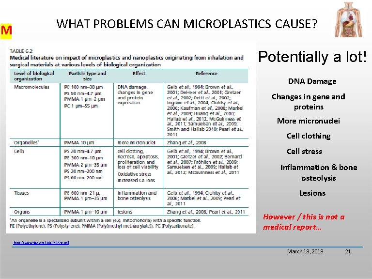 M WHAT PROBLEMS CAN MICROPLASTICS CAUSE? Potentially a lot! DNA Damage Changes in gene