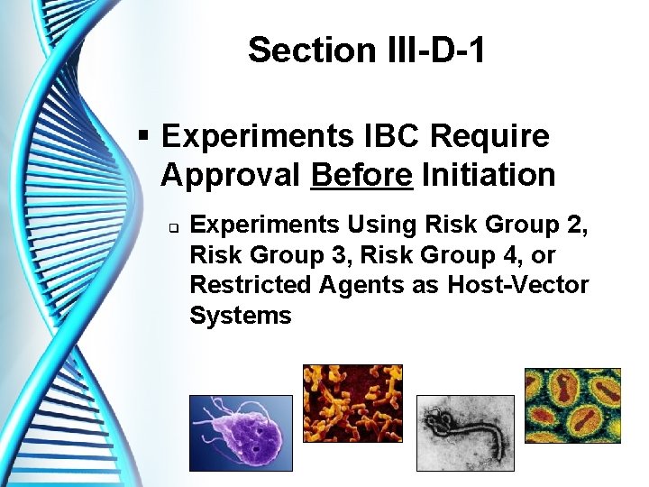Section III-D-1 § Experiments IBC Require Approval Before Initiation q Experiments Using Risk Group