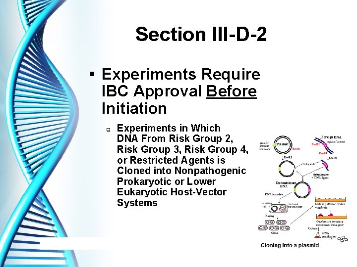 Section III-D-2 § Experiments Require IBC Approval Before Initiation q Experiments in Which DNA