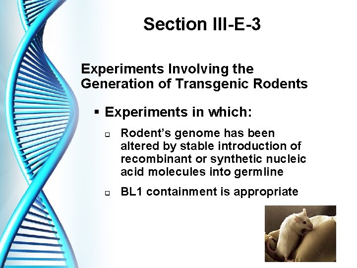 Section III-E-3 Experiments Involving the Generation of Transgenic Rodents § Experiments in which: q