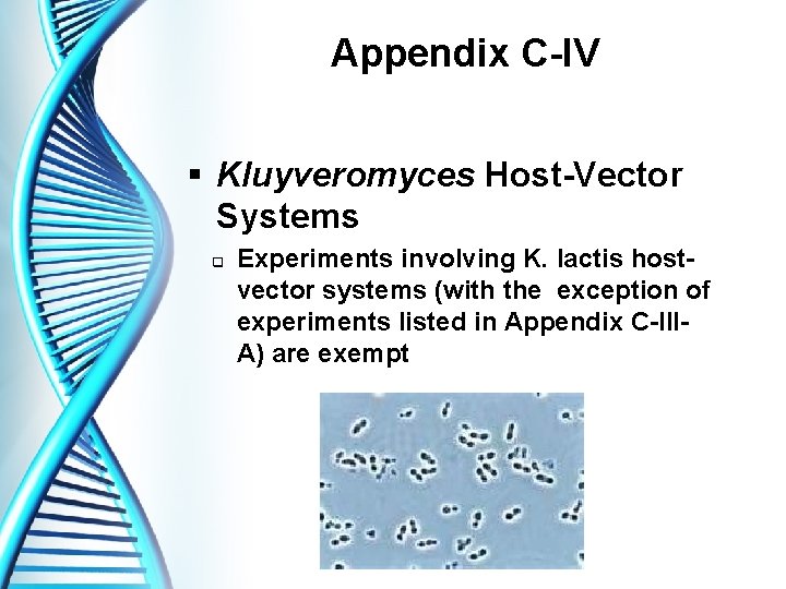 Appendix C-IV § Kluyveromyces Host-Vector Systems q Experiments involving K. lactis hostvector systems (with