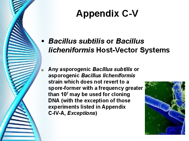Appendix C-V § Bacillus subtilis or Bacillus licheniformis Host-Vector Systems q Any asporogenic Bacillus