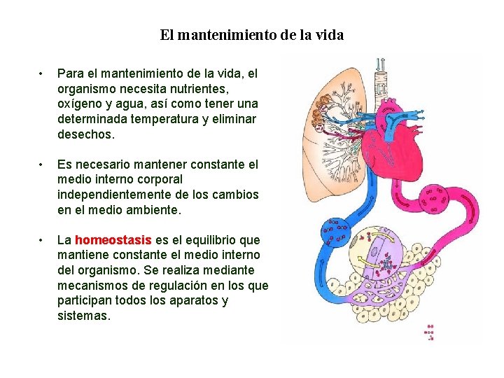 01 El mantenimiento de la vida • Para el mantenimiento de la vida, el 01 El mantenimiento de la vida • Para el mantenimiento de la vida, el