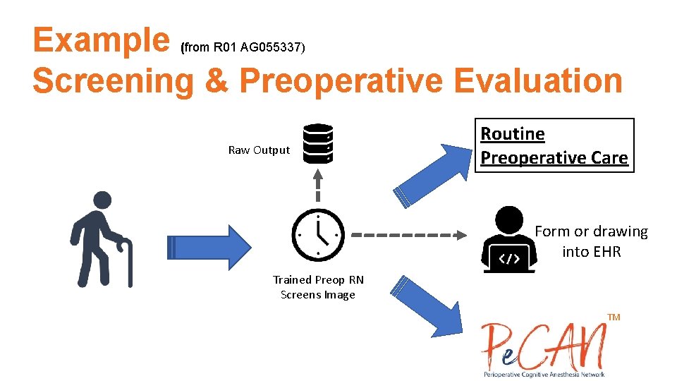 Example Screening & Preoperative Evaluation (from R 01 AG 055337) Raw Output Routine Preoperative