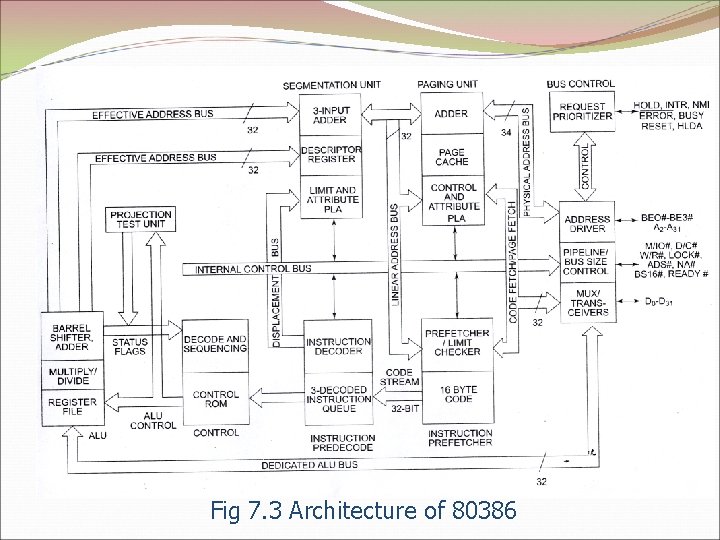 Fig 7. 3 Architecture of 80386 