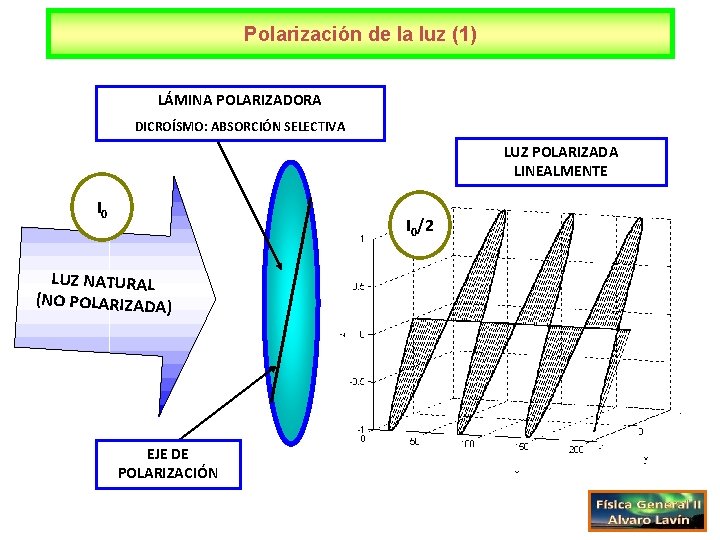 Polarización de la luz (1) LÁMINA POLARIZADORA DICROÍSMO: ABSORCIÓN SELECTIVA LUZ POLARIZADA LINEALMENTE I