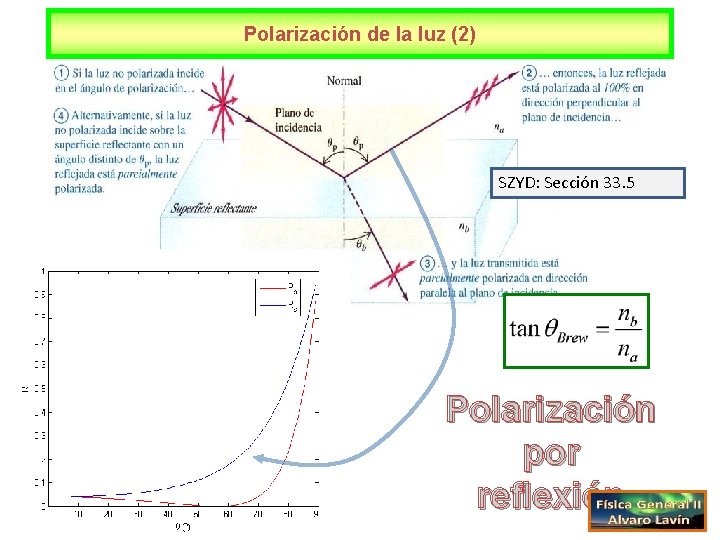 Polarización de la luz (2) SZYD: Sección 33. 5 Polarización por reflexión 