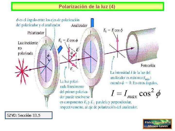 Polarización de la luz (4) SZYD: Sección 33. 5 