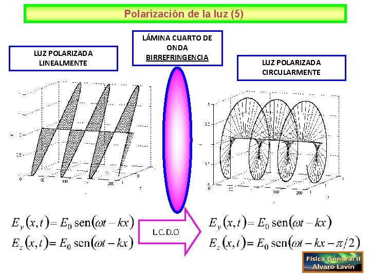 Polarización de la luz (5) LUZ POLARIZADA LINEALMENTE LÁMINA CUARTO DE ONDA BIRREFRINGENCIA L.