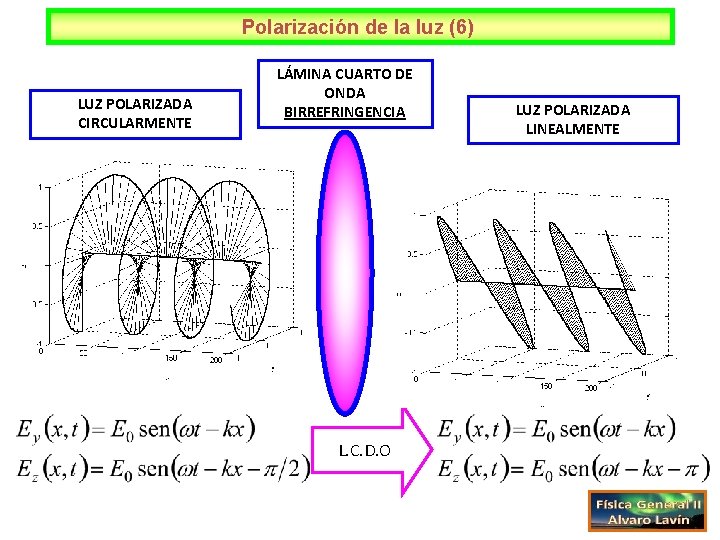 Polarización de la luz (6) LUZ POLARIZADA CIRCULARMENTE LÁMINA CUARTO DE ONDA BIRREFRINGENCIA L.