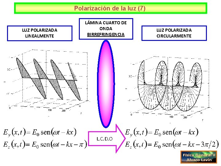 Polarización de la luz (7) LUZ POLARIZADA LINEALMENTE LÁMINA CUARTO DE ONDA BIRREFRINGENCIA L.