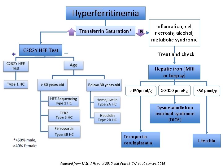 Hyperferritinemia Transferrin Saturation* N Inflamation, cell necrosis, alcohol, metabolic syndrome C 282 Y HFE