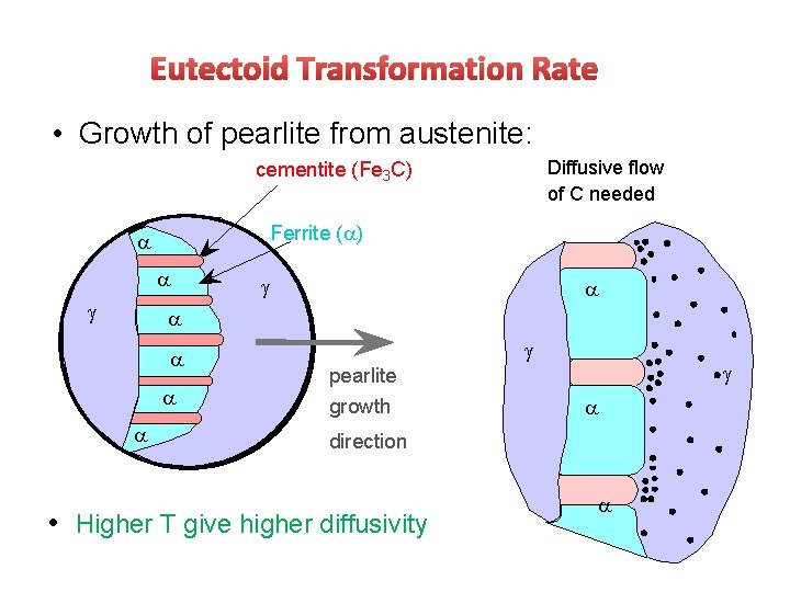 Eutectoid Transformation Rate • Growth of pearlite from austenite: Diffusive flow of C needed