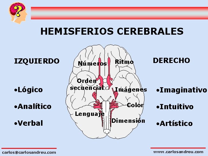 HEMISFERIOS CEREBRALES IZQUIERDO • Lógico • Analítico • Verbal carlos@carlosandreu. com Números Orden secuencial